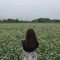多少浅浅淡淡的转身 是旁人看不懂的情深 开头陌生，结尾更陌生