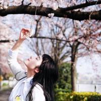 良人不在归. 那个一直妄想和你在一