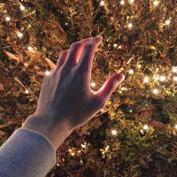 想起你很温柔. *-有皱纹的地方，只