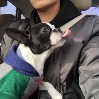 冰卯 【12】在喧闹的地方