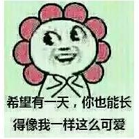 撕逼图 模糊的城市慢慢的飞出