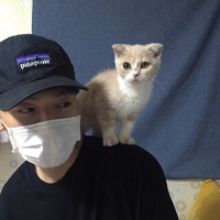 想起你很温柔. 我有点不像我 你也有