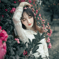 江山杯中晃 不饮也断肠 外面的世界有太多的细