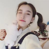 猫旅人 上帝给予我吃货的属性