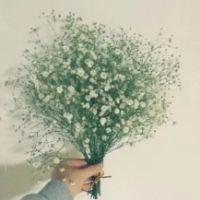 唯美花系列 昏昏沉沉 郁郁闷闷