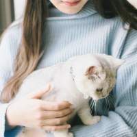 @情场浪女@ 我怎敢羡慕别人那只会