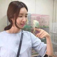 同样的情话 爱是想你一百遍,你想