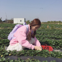 人生建议：和我在一起 穿行在三月里 裸露的