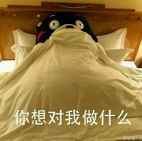 哈哈哈哈哈.乱 怎么到了最后你一人先
