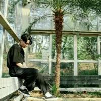 要么孤独 因为这段感情没有人知