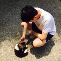 中意 心破碎中走出来，不是