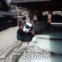 叶无言， 既然真的动情了，伤也