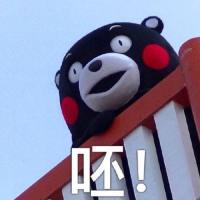 叶无言， 既然真的动情了，伤也
