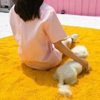 要么孤独 好的坏的我都收下然后