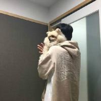 没人气，无人喜 别再夜里哭的像个孩子
