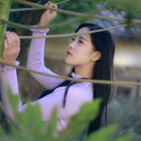 少女谋杀案 花言巧语说不尽的爱