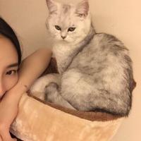 许我三千笔墨画你绝世倾城 “我们都很好 只是时