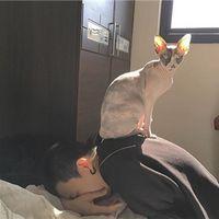 清风入衫 她都得到了你的心我还