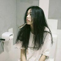 风决定了蒲公英的方向