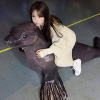 心 安 最怂的就是明知自己是