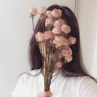 森系 君在天南，我在地北。