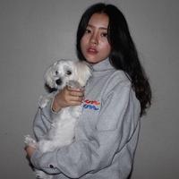 超级cool. 写给你的信被候鸟拦截