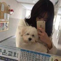 战子吻. 無論我怎麼落淚，你都