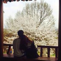 婪瘾。 因为爱你所以选择原谅