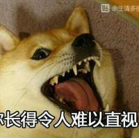 记忆，深入骨髓，伴随