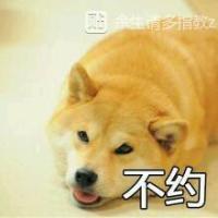 记忆，深入骨髓，伴随