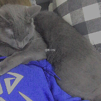 脏. 既然你想浪的毫无牵挂