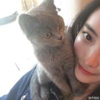 占有欲与你 你看我醉了，醉成了风