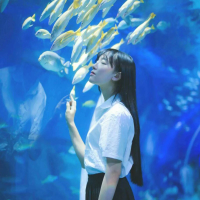 异性过敏 绕过城头老巷角落哪个