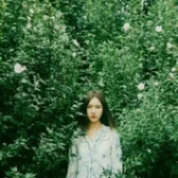绿 还喜欢你 但不再甘愿