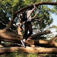 天后 她曾经划破手臂他心疼