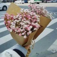 “后来一切都好，只是少了你” 我总是不断地想念你