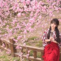 余生 无人陪我醉，无人与我