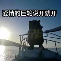哈哈哈 经常在梦里出现的人