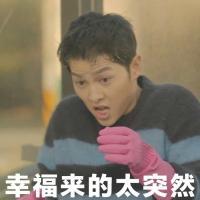 宋老公表情包 喜欢不一定非得在一起