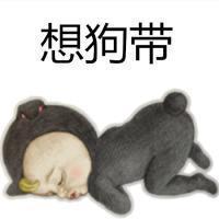 不看你别喷. 生命因为有限所以才宝