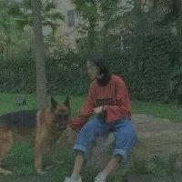 我已经一无所有 过错是暂时的遗憾，而