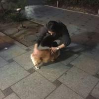 硬撑 可不可以把梦想放进冰