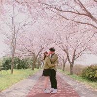 情~话 放弃也是一种解脱.