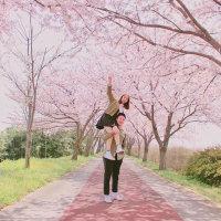 情~话 放弃也是一种解脱.