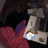 不是这样 爱上一个认真的消遣，