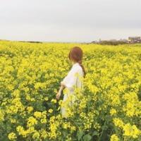 你是人间四月天. 枯萎的花也曾爱过 只