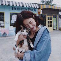 野猫一个晨 最美的风景只能看一次