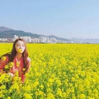 你来迟了 我一个人哭，一个人笑