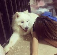 你来迟了 温和对人对事。不要随