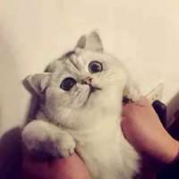 把我捧在手心然后狠狠
